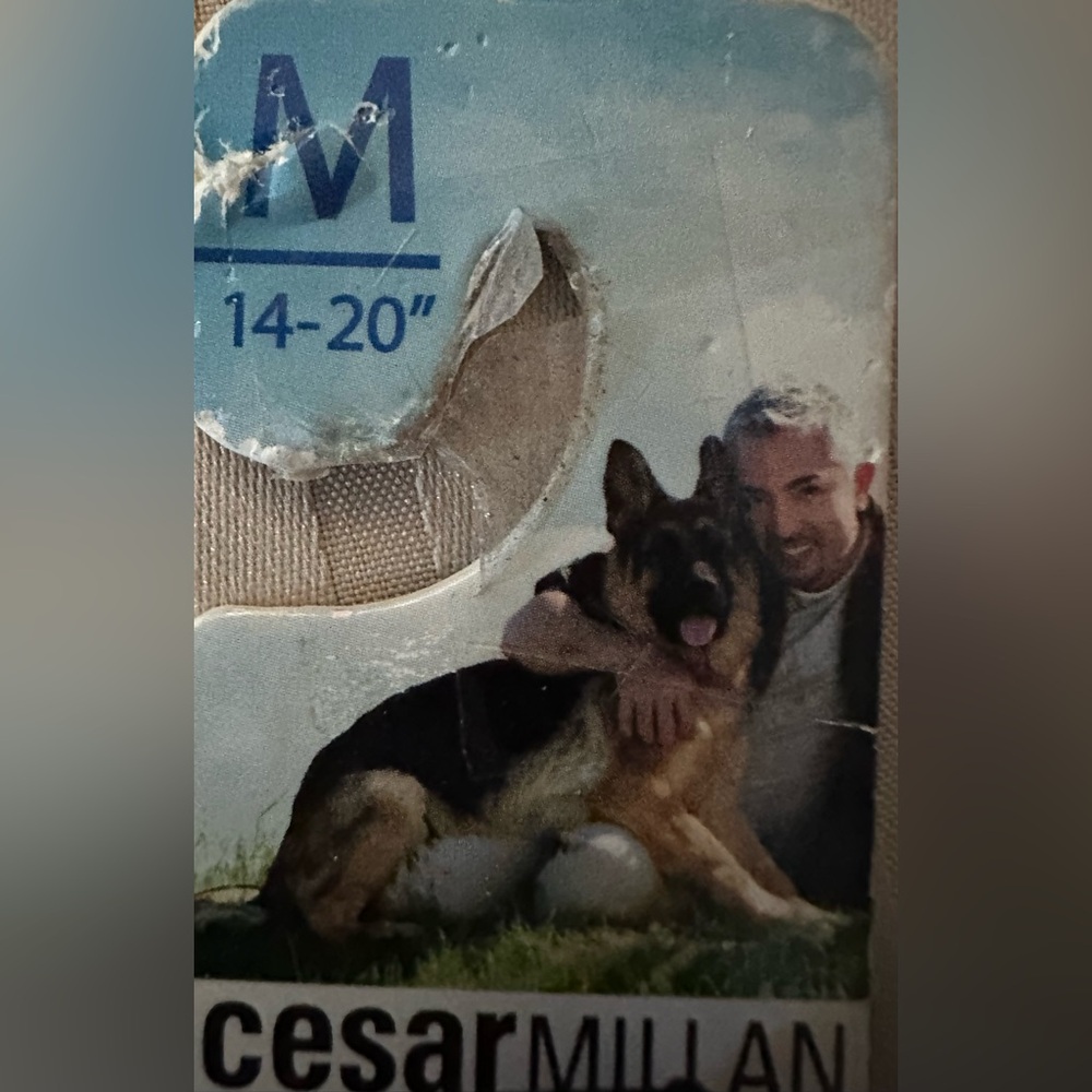 NWT Cesar Millan medium collar 14-20” in orange - Picture 2 of 2